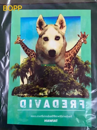 4 Colors Ci Flexographic Paper Bag Cup BOPP PE PCB Non-Woven Printer Rotogravure Offset Printing Machine