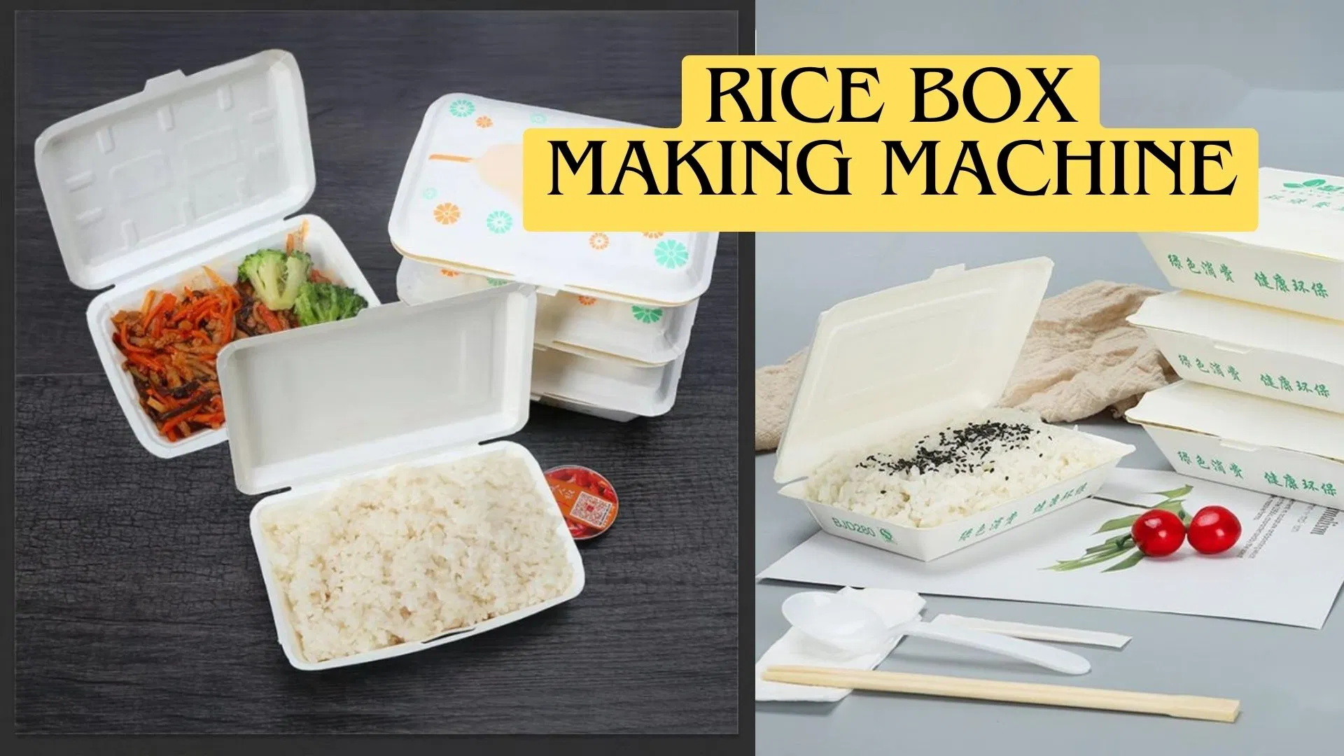 Multifunctional Rice Box Container Erecting Paper Takeaway Food Packaging Box Forming Machine