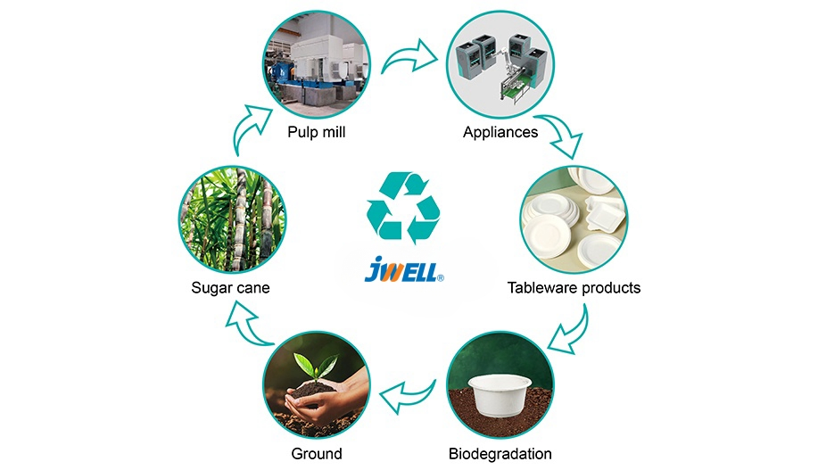 Jwell Good Price Semi Automatic Sugarcane Bagasse Paper Pulp Molding Tableware Making Machine for Take Away Plate Lunch Box Bowl Tray Cup Lid Plate Clamshell