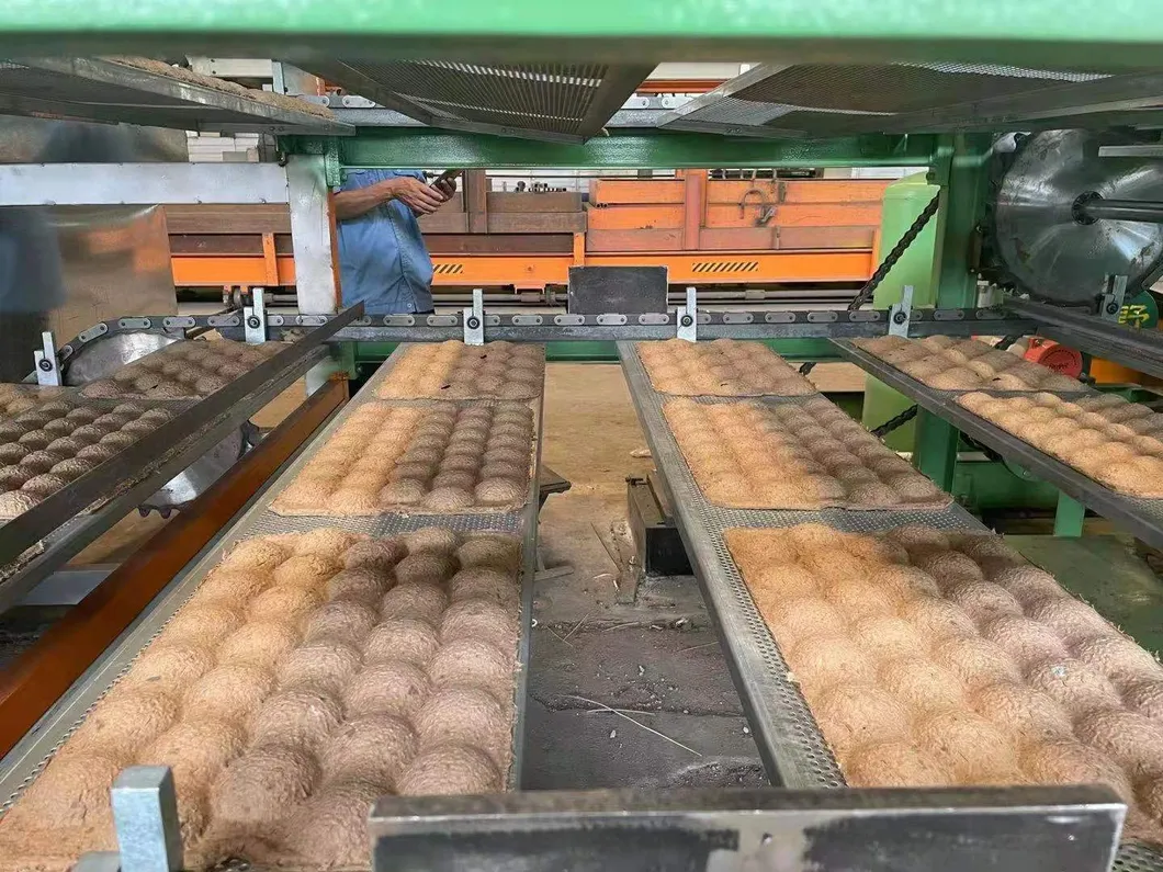 Egg Tray Production Line