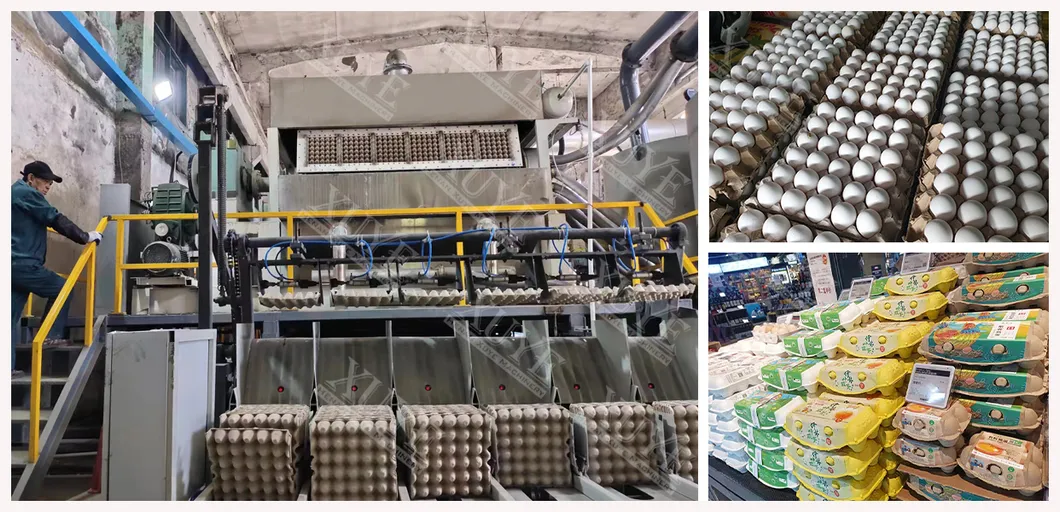 Egg Tray Production Line