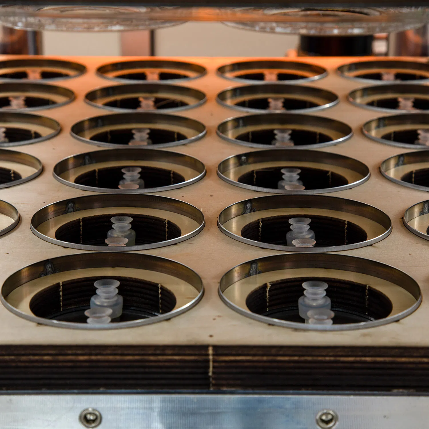 Automatic Plastic Fast Food Box Takeout Container Yougurt Cup Lid Paper Cup Cover Thermoforming Forming Making Machine