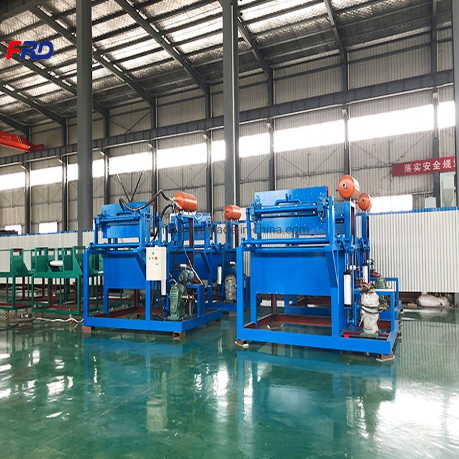 Advanced Egg Tray Making Line for Paper Recycling