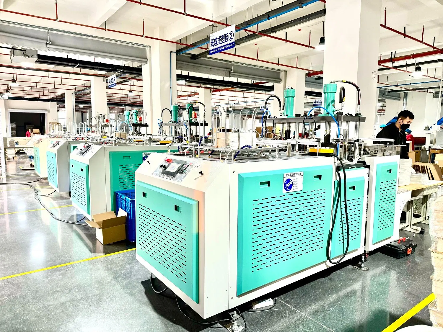 Multi-Functional Paper Tray Forming Machine, Automatic Converting Equipment for Disposable Plates, Bowls, Food Containers