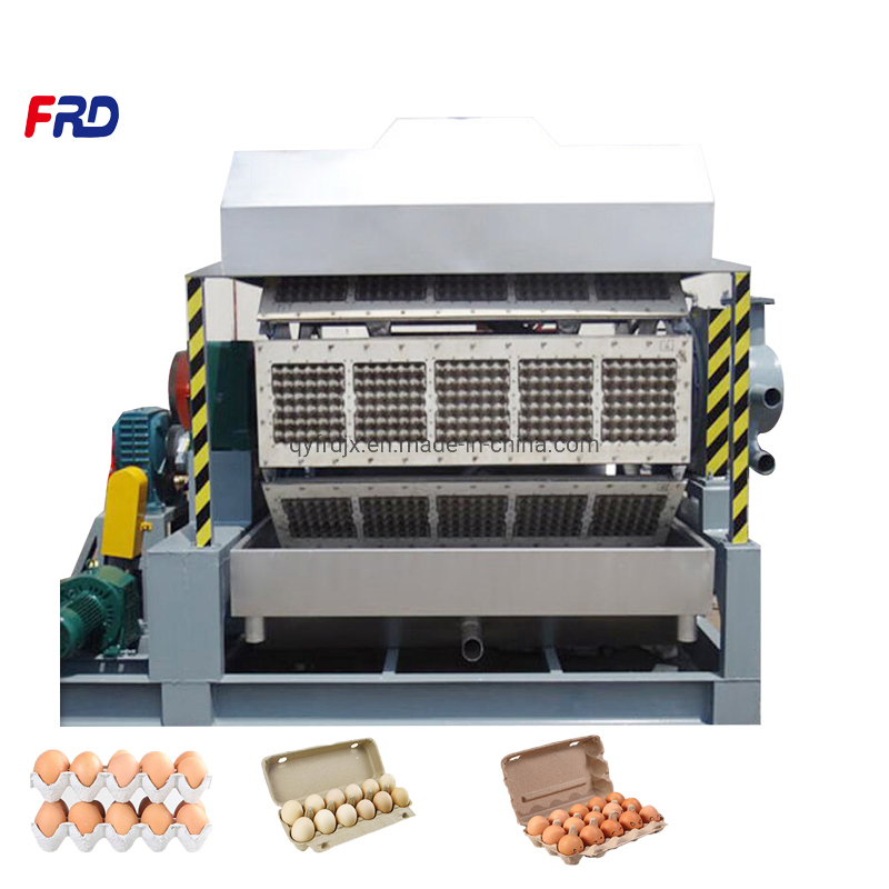 Advanced Egg Tray Making Line for Paper Recycling