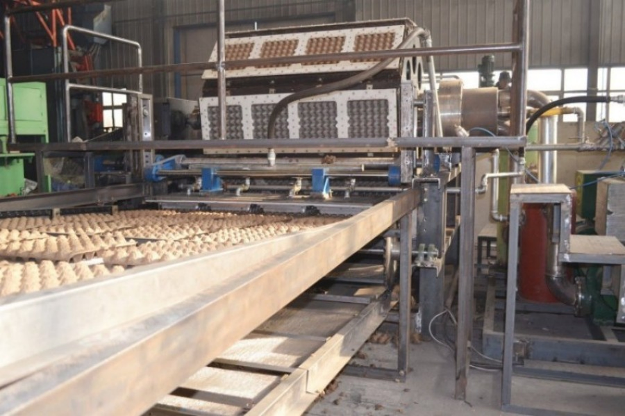 Paper Blister Lid Plate Tray Thermoforming Machine Multi Stations Fully Automatic Paper Bowl Making Machine