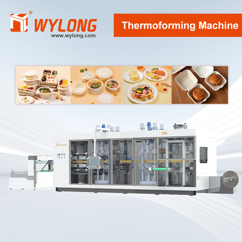 Automatic Plastic Fruits Clamshell Fast Food Packages Box Tray Paper Coffee Cup Lid Cover Container Plastic Thermoforming Forming Making Machine