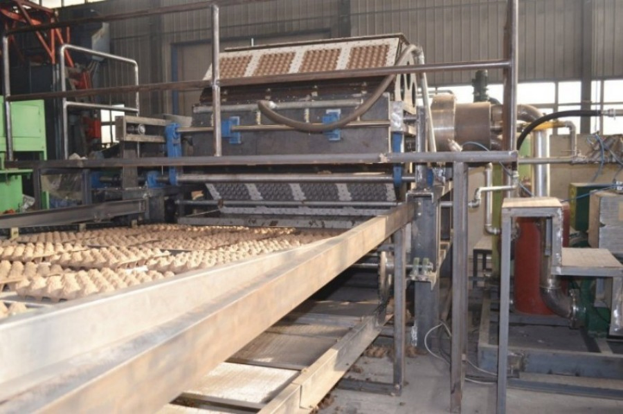 Paper Blister Lid Plate Tray Thermoforming Machine Multi Stations Fully Automatic Paper Bowl Making Machine