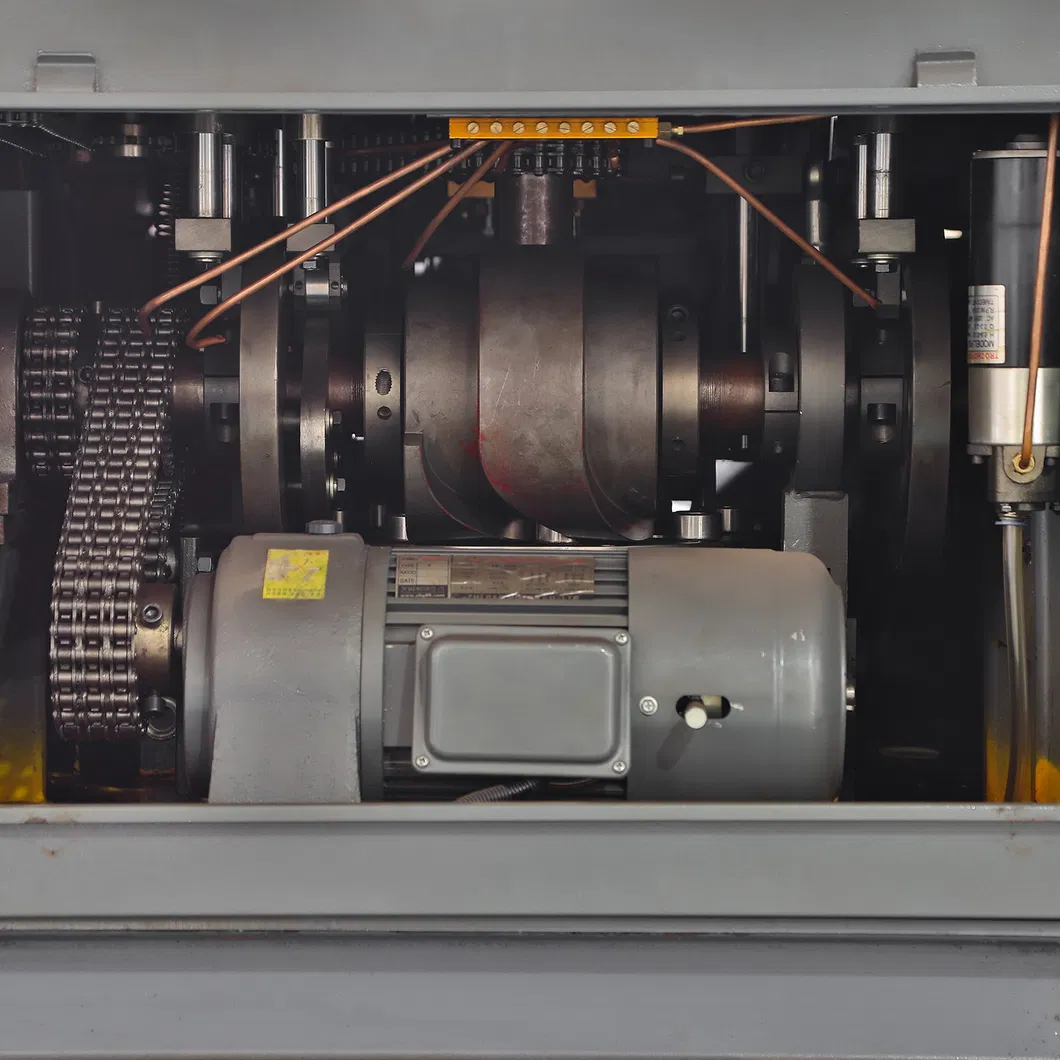 Geneva Open Cam System