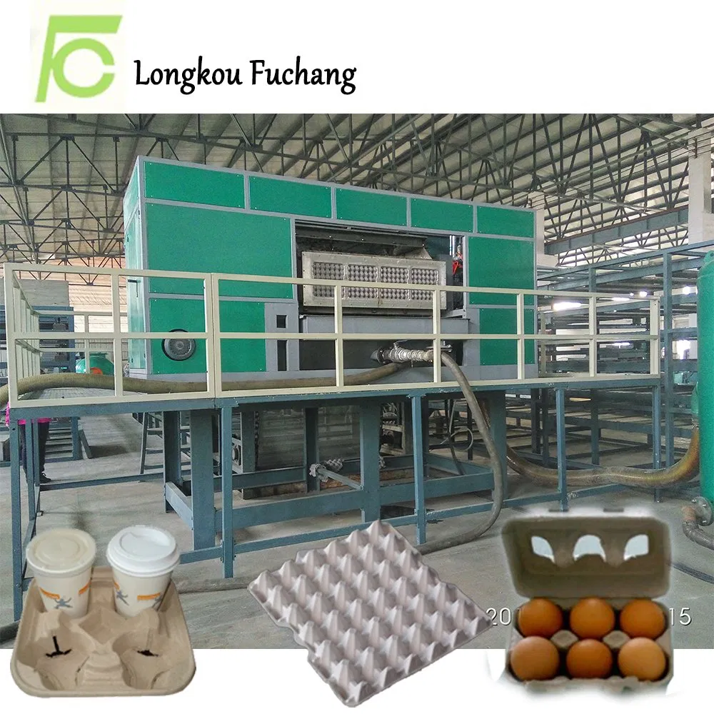 Fuchang Supply Paper Molding Egg Tray Production Line