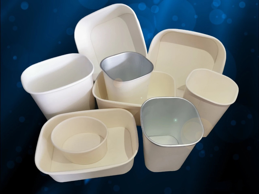 Paper Cup Machine, Paper Cup Fan Blank, Offset Printing Machine, Paper Cupc600 Paper Cup Machine