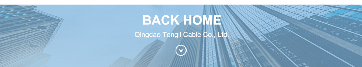 Footer Banner