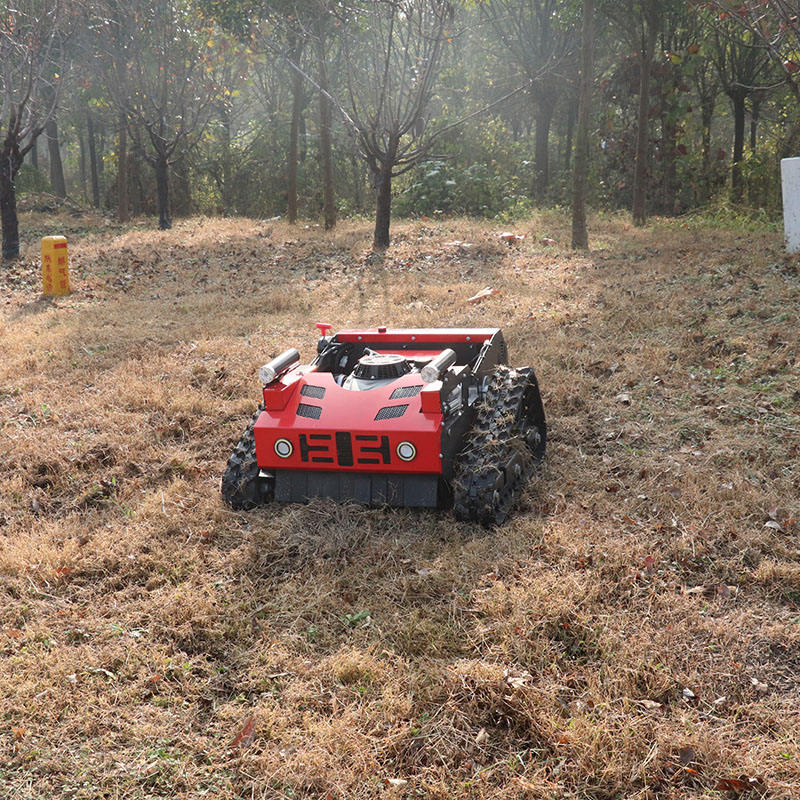 Robust Gasoline Grass Cutting Machine for Professional Farm Garden Lawn Care
