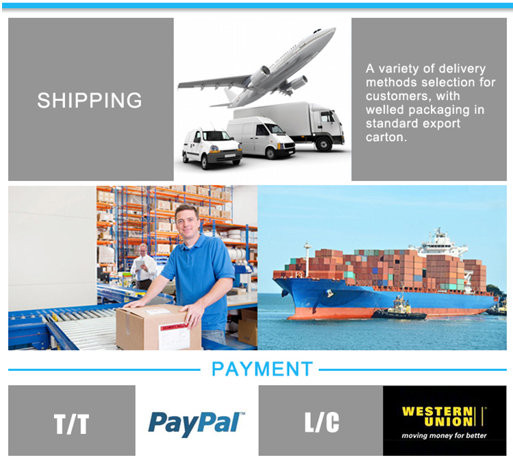 Shipping & Payment Details