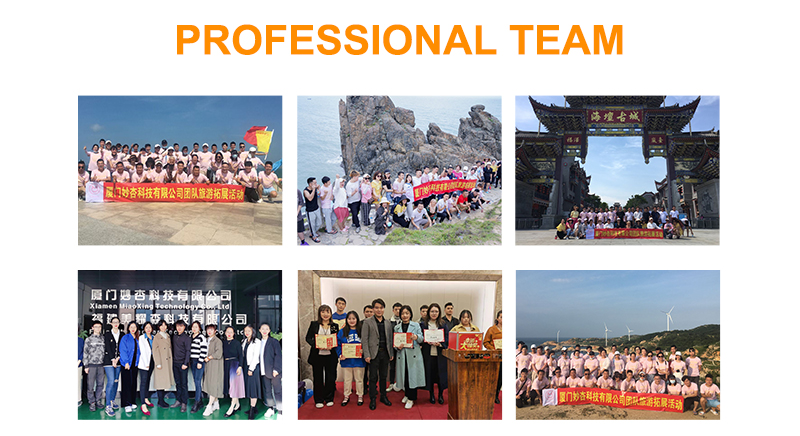 Professional Team Group