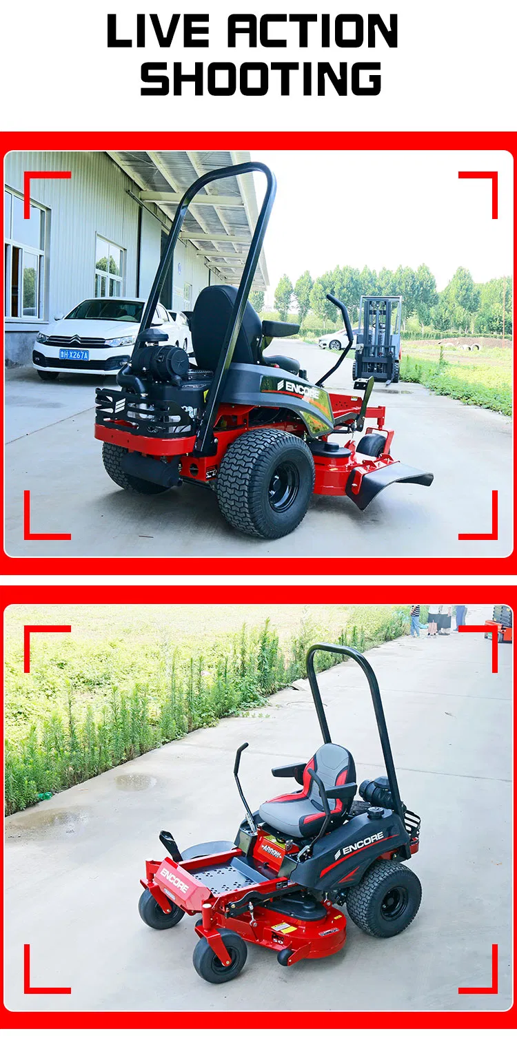 Lawn Mower Detail 9