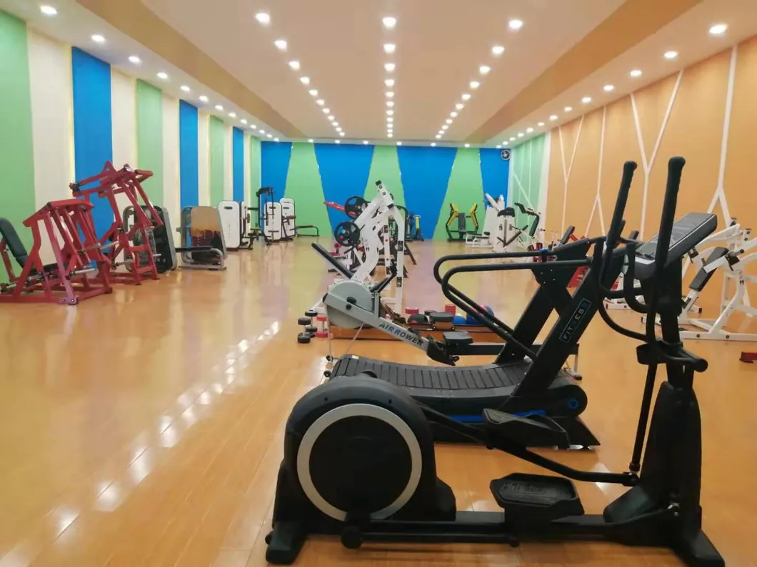 Good Quality Gym Equipment Showroom