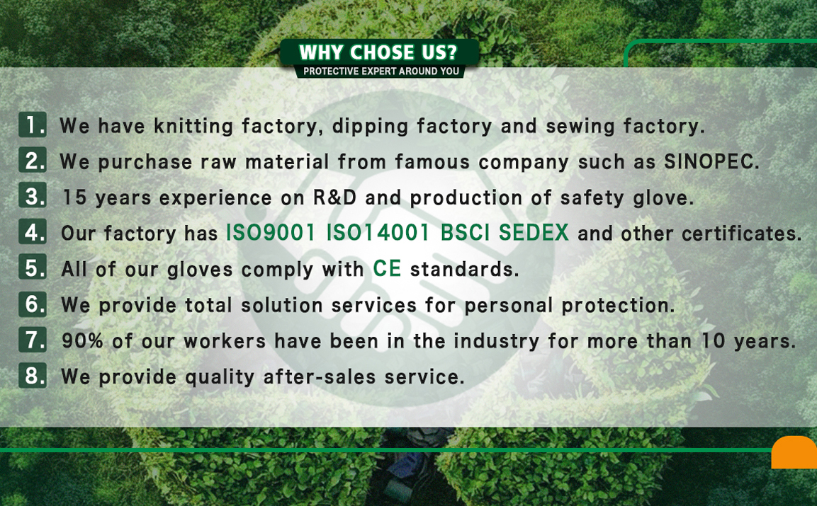 Why Choose Us