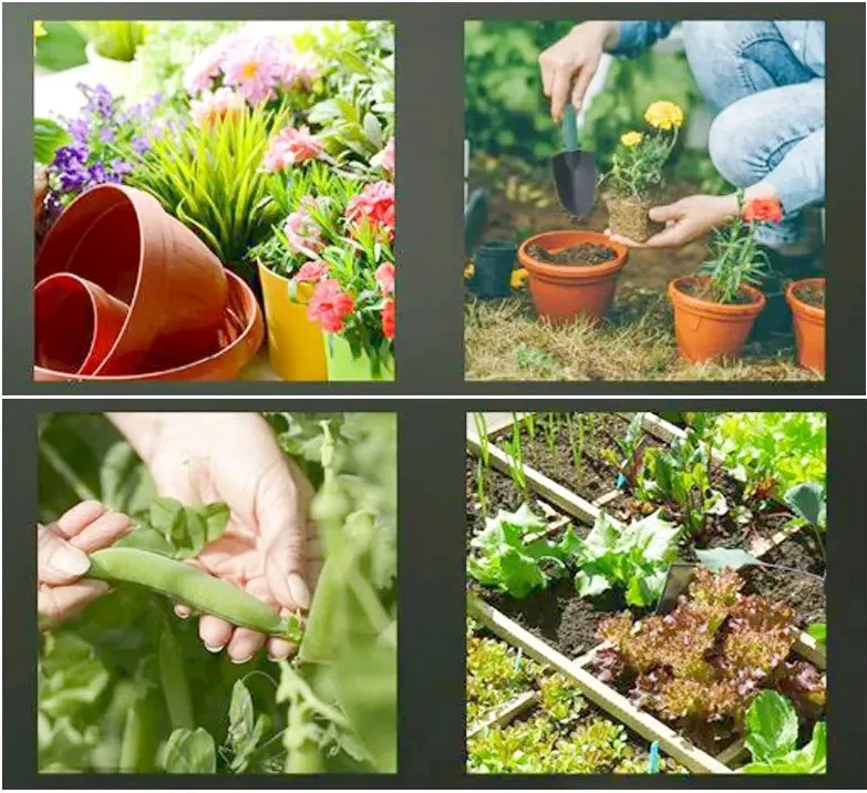 Garden Tool Kit Application 2