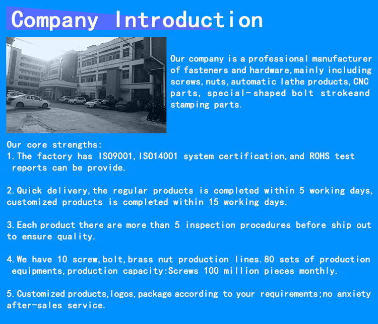 Company Showcase 1