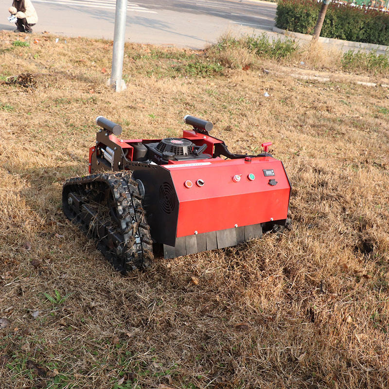 Robust Gasoline Grass Cutting Machine for Professional Farm Garden Lawn Care