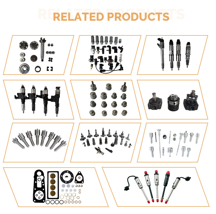 Related Diesel Injector Products