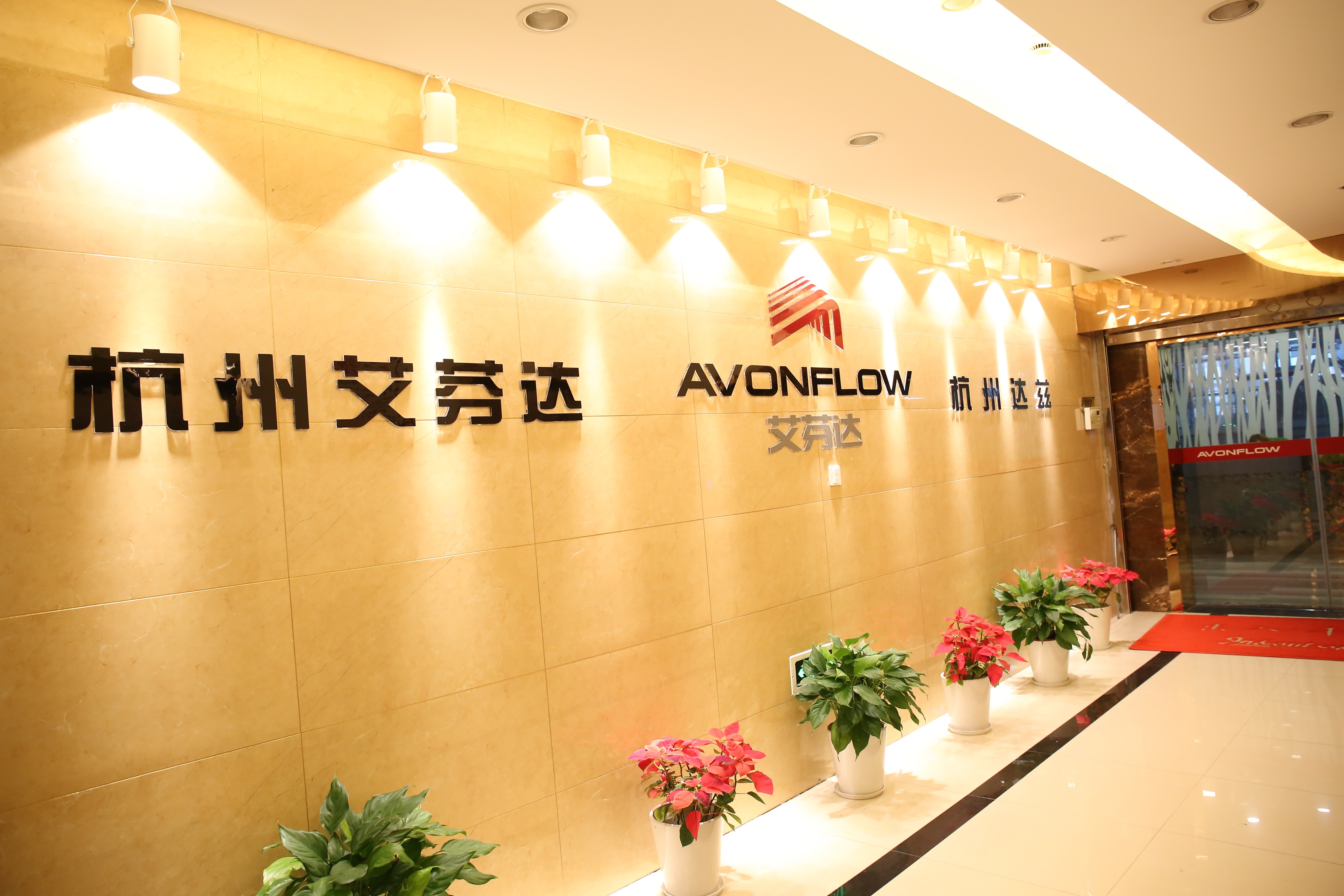 Company Profile