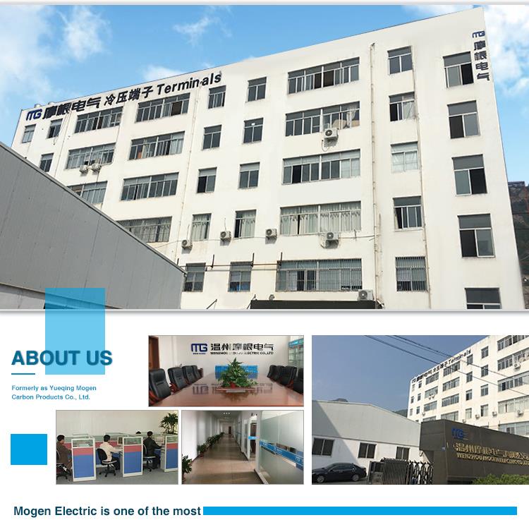 Company Overview