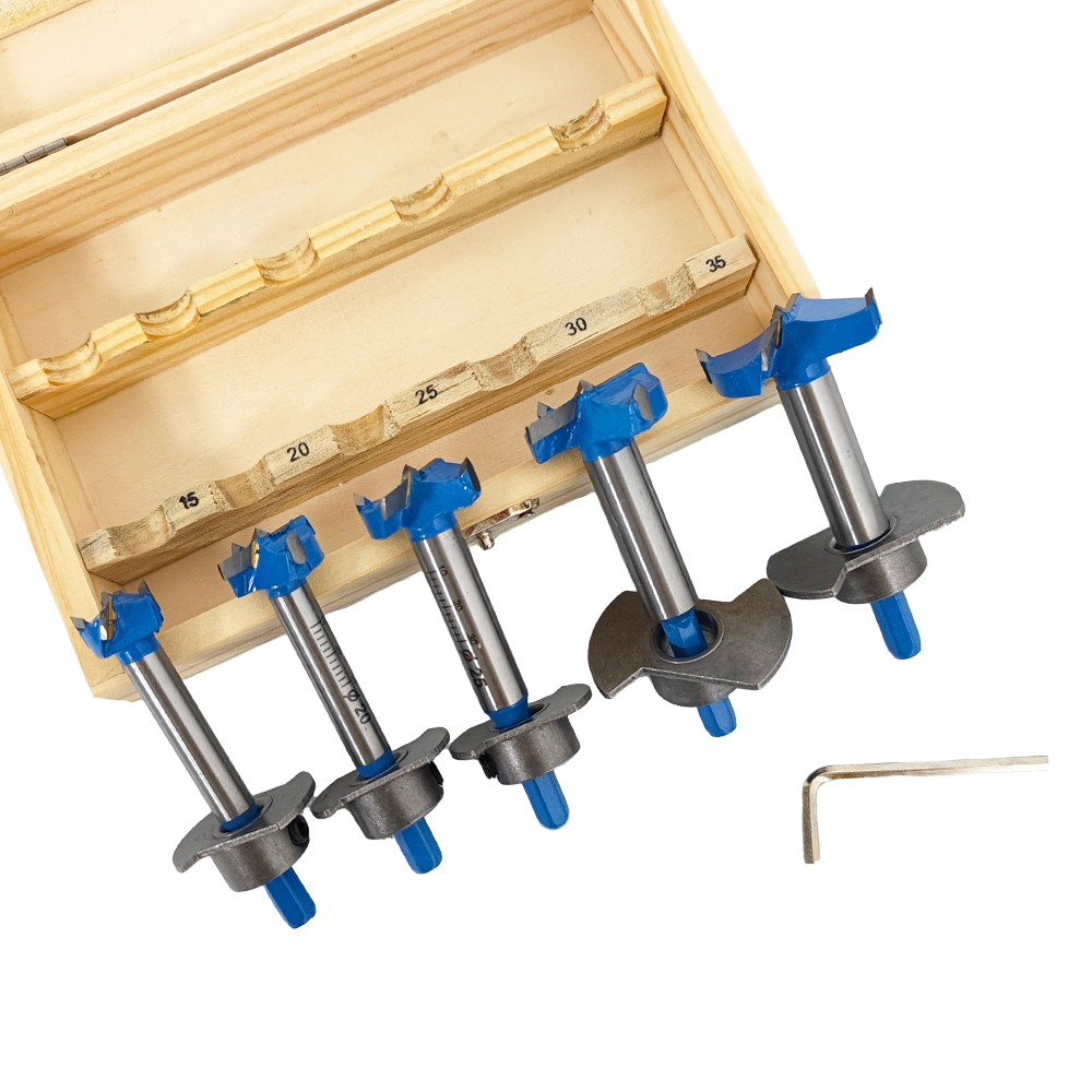New Arrival Adjustable Woodworking Drilling Tool Complete Woodworking 5pcs Forstner Drill Bits Kit Supplier