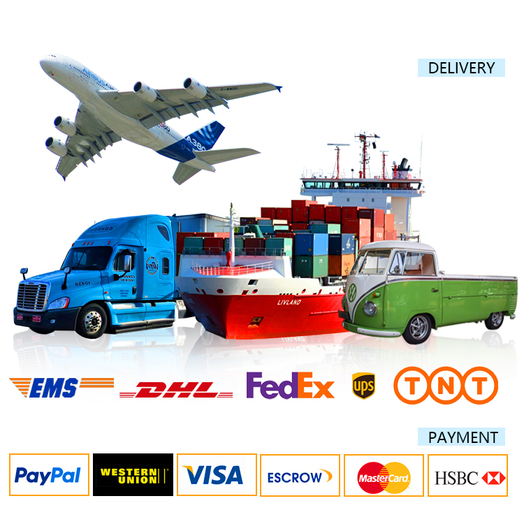 Logistics and Payment Details