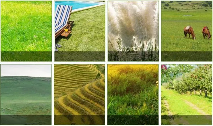 Affordable Remote Control Mini Grass Cutting Machine for Easy Lawn Care