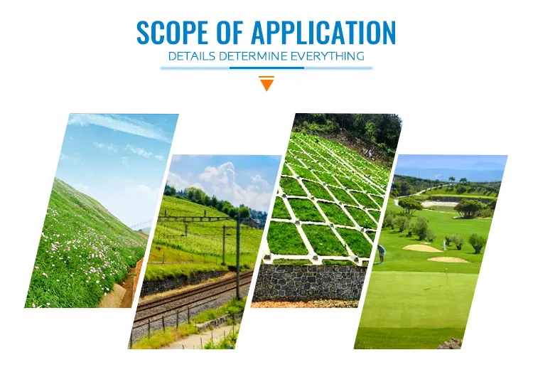 Fast Sowing Hydraulic Hydroseeding Grass Seed Spraying Machine for Lawn Care