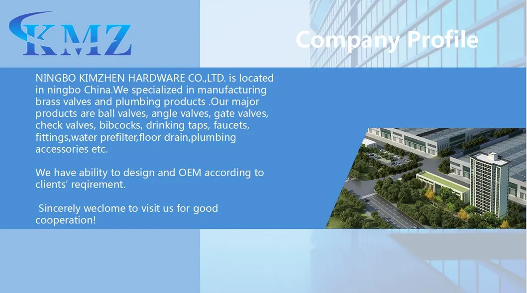 Company Profile Overview Image