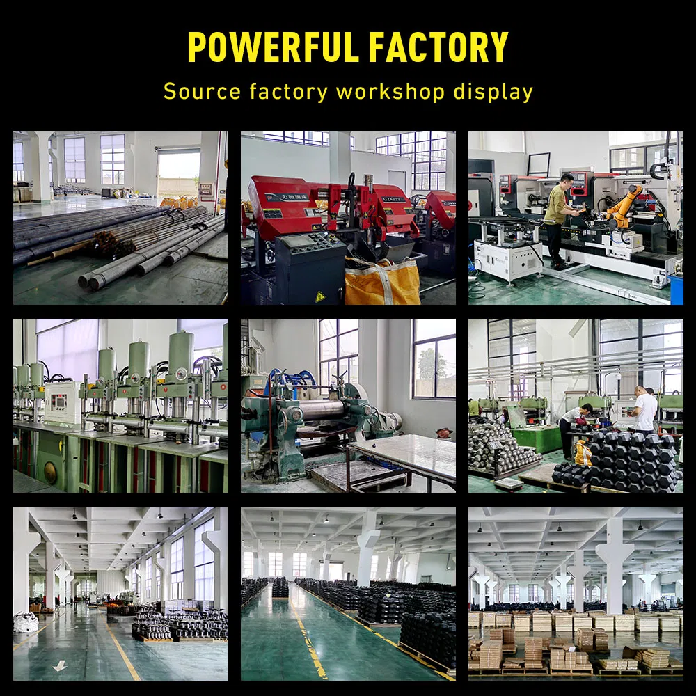 Factory Wholesale Customization Iron Dumbbell Set Gym Equipment Fitness Rubber Hex Dumbbell