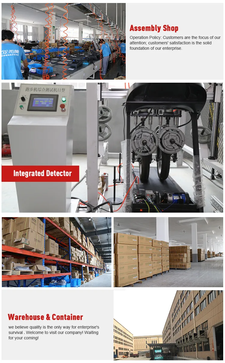 Motor and Internal View