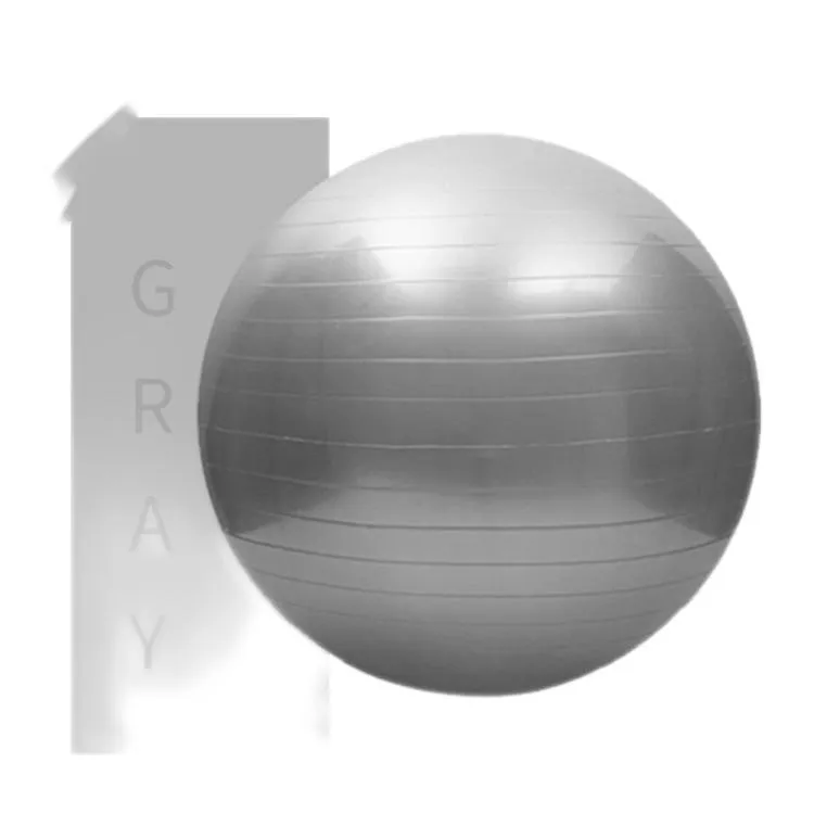 Gym Exercise Ball