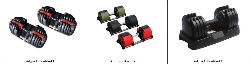 System Dumbbell