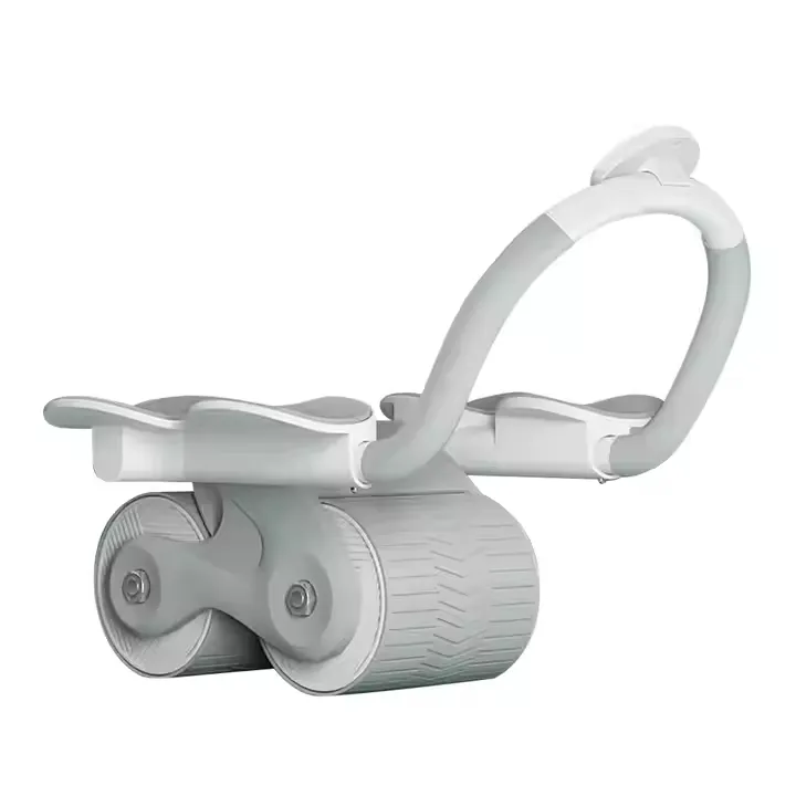 Ab Roller Photo 4