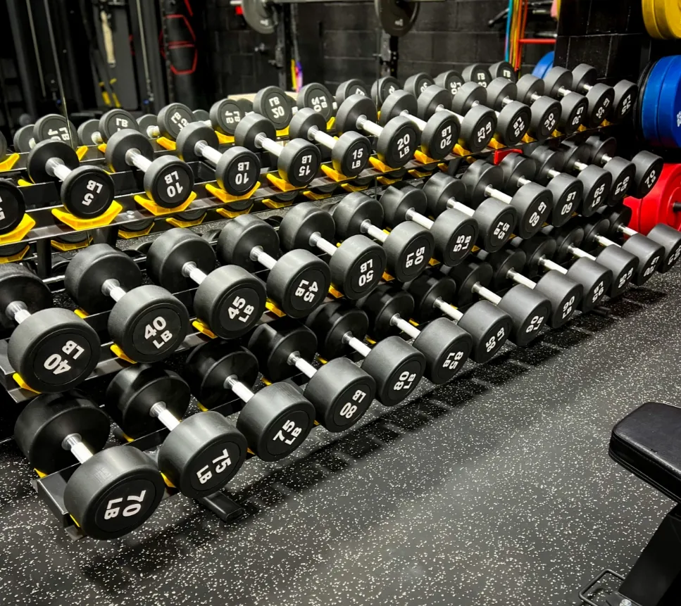 Gym Dumbbell Set