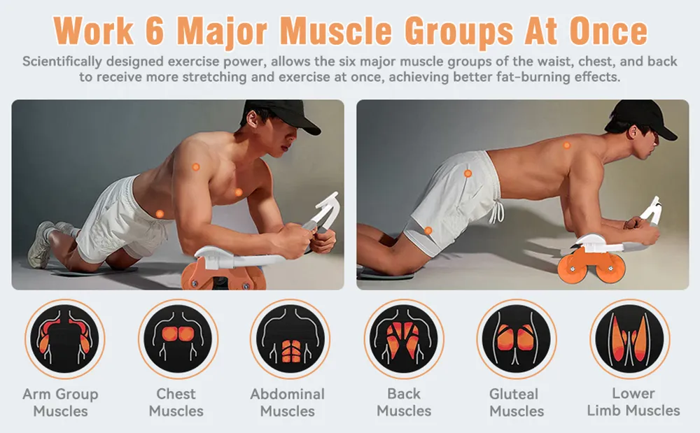 Exercise Wheel View 1
