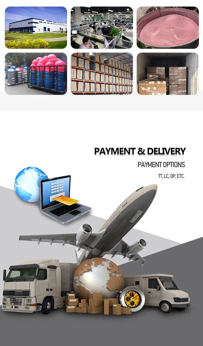 Balance Bosu Ball 10