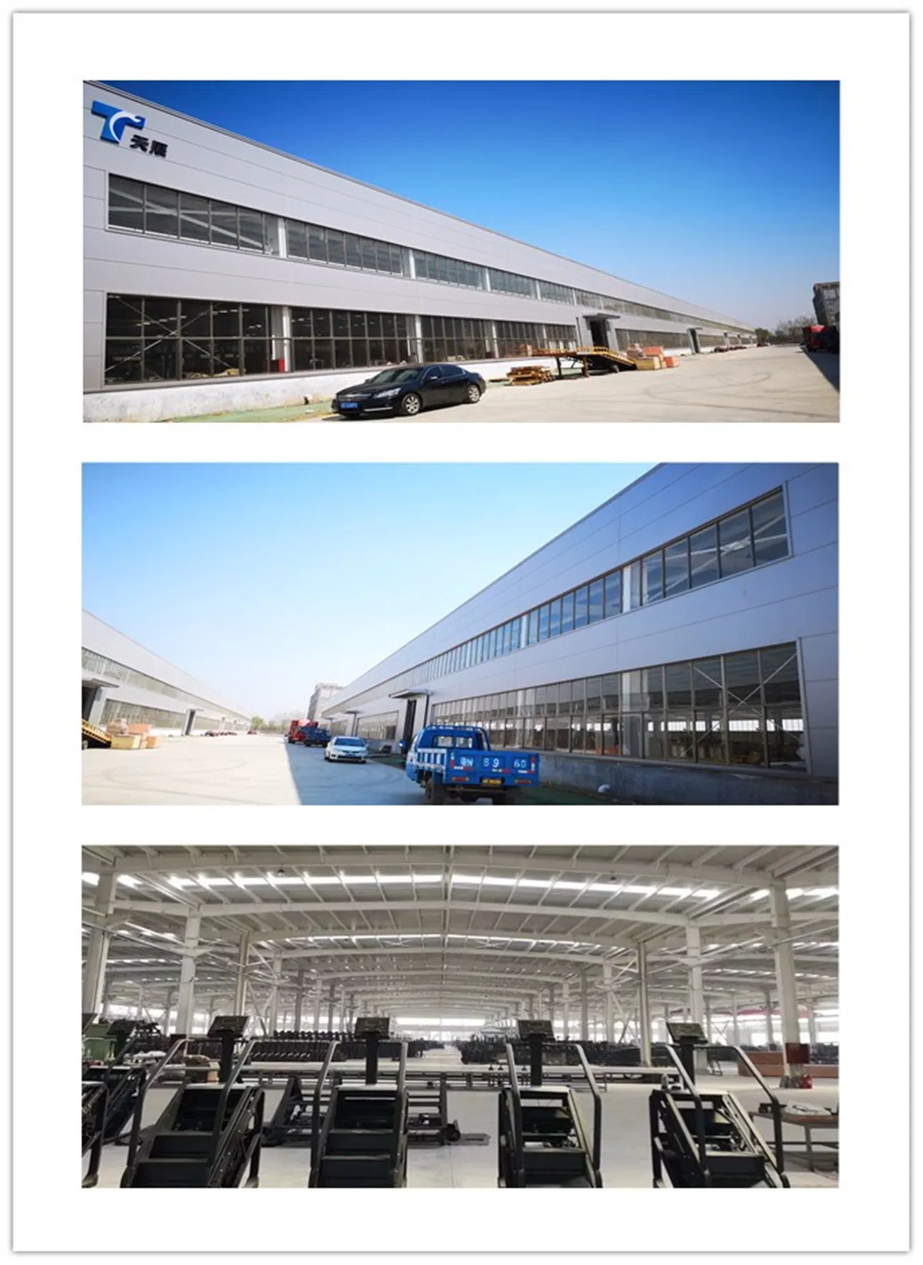 Powerful Professional Percussion Gym Sports Muscle Deep Tissu Fascia Mini Massage Gun