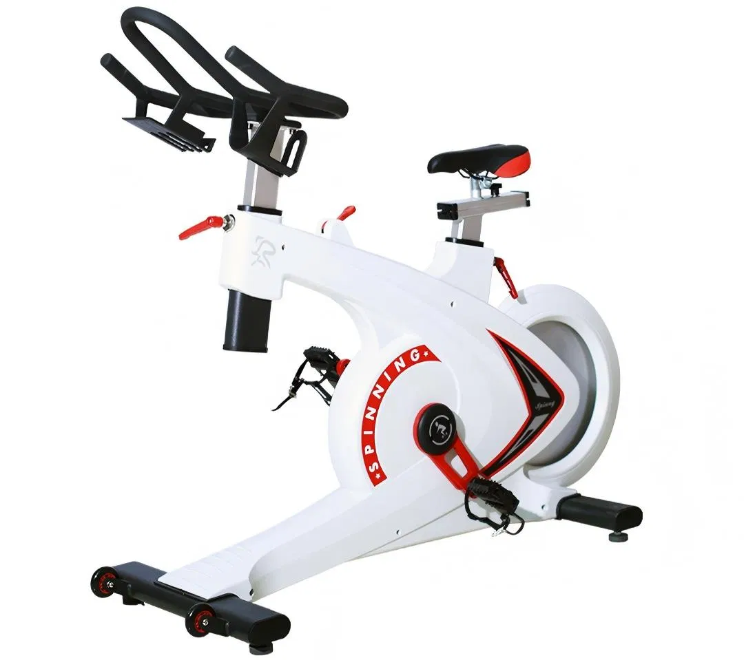 White Indoor Exercise Magnetic Resistance Fitness Gym Equipment Spinning Bike