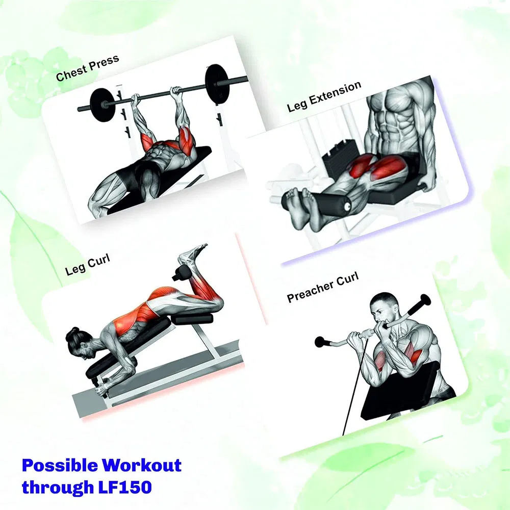 Weight Bench Detail 2