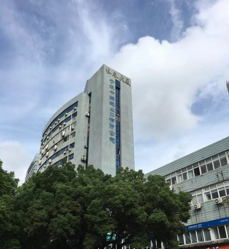 Push up Bar with Foam Handle and Anti-Slip Soft Base