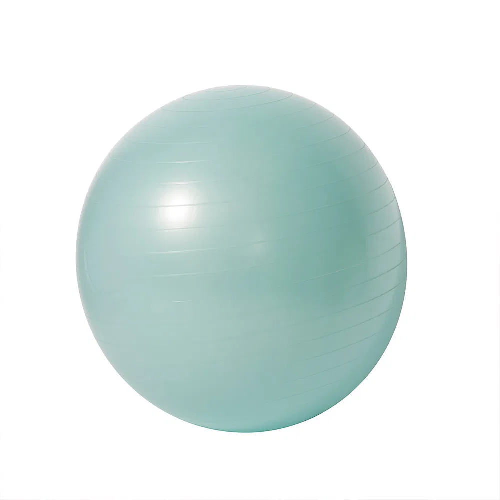 Anti Burst Balance Exercise Ball Gym 55cm Premium Black PVC Yoga Ball