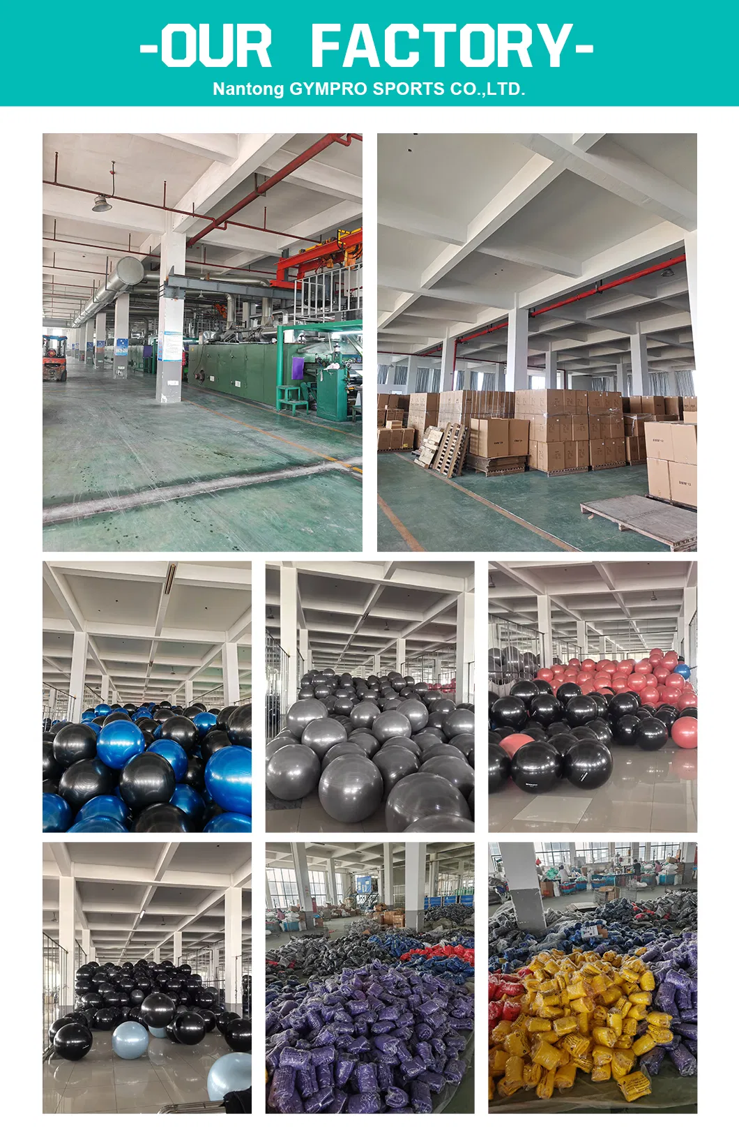 Pilates Ball Details