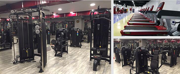 Powerful Professional Percussion Gym Sports Muscle Deep Tissu Fascia Mini Massage Gun