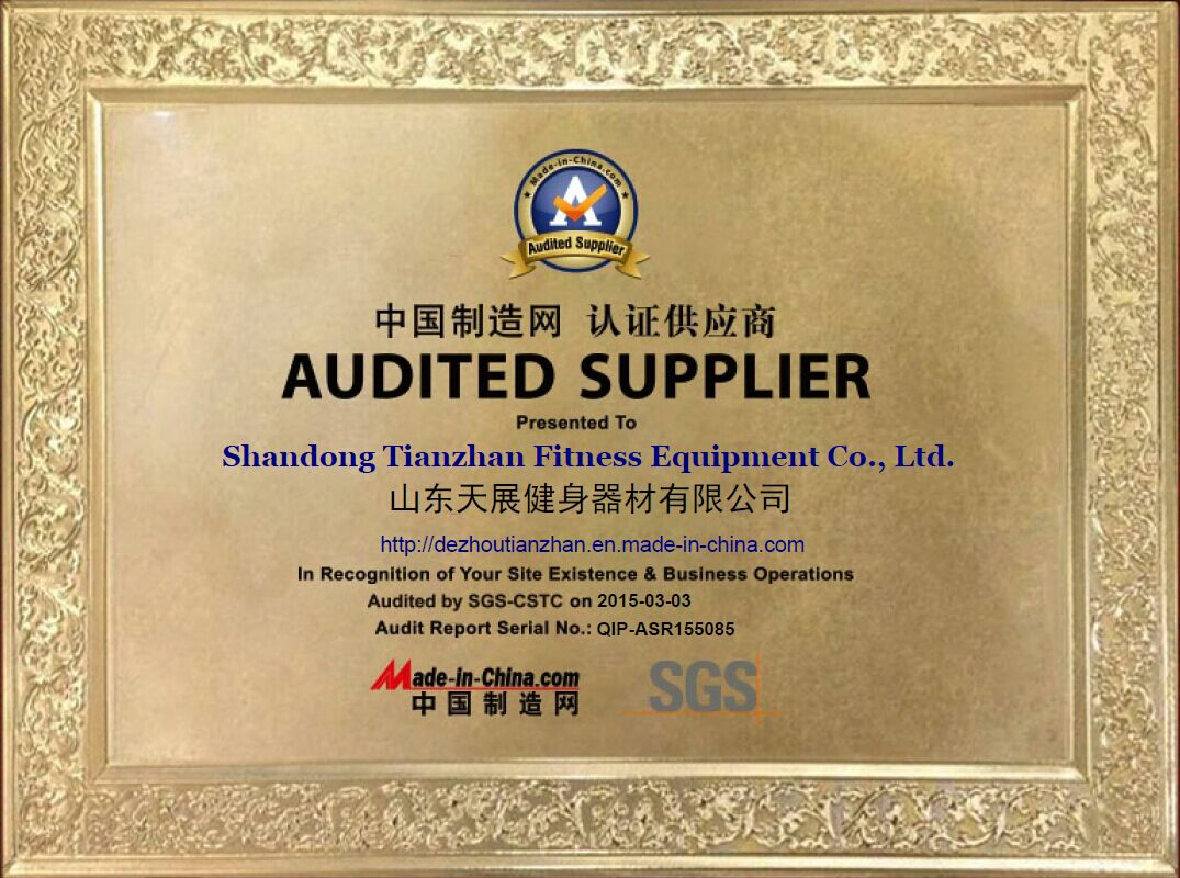 Powerful Professional Percussion Gym Sports Muscle Deep Tissu Fascia Mini Massage Gun