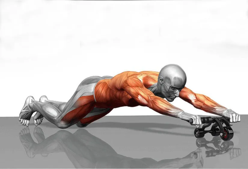 Fitness Exercise Equipment